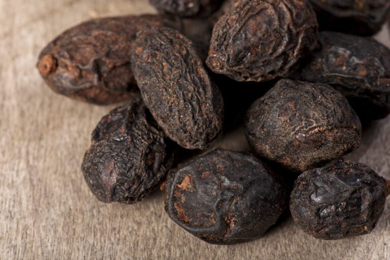 El mejor suplemento de Saw Palmetto para la caída del cabello 1 semillas secas de palma enana americana